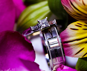 Sergio & Katie || Wedding